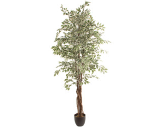 Planta artificial FICUS 2.20m